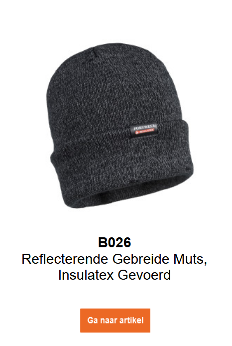 Afbeelding van de reflecterende gebreide muts met Insulatex-voering B026 in grijs. Een link naar de productpagina is toegevoegd.