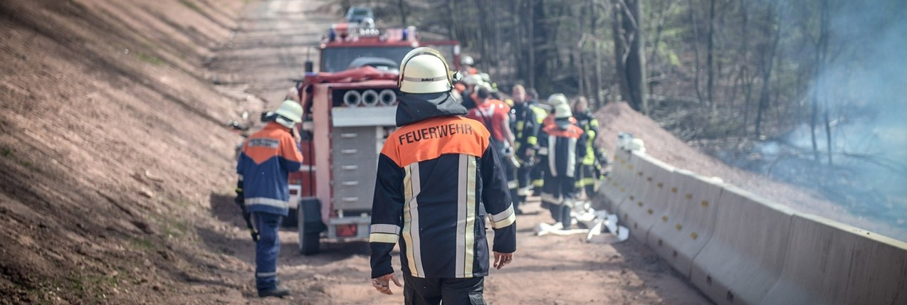 Achteraanzicht van een brandweerman in volle uitrusting. Op de achtergrond zie je een brandweerwagen op een bospad en een groep brandweermannen aan het werk.
