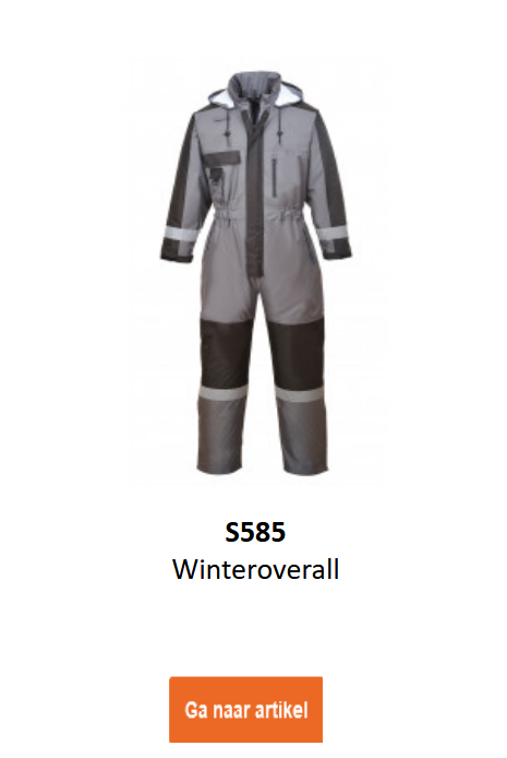 Afbeelding van de winteroverall S585 in grijs met zwarte details.