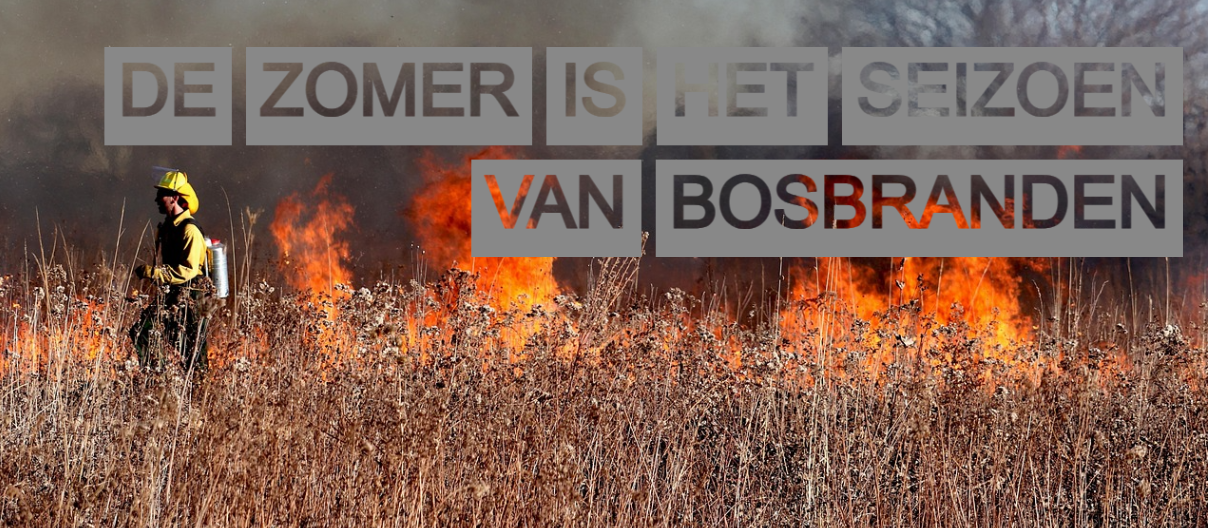 Een brandweerman in gele beschermende kleding beweegt zich door een droog, brandend veld. Hoge vlammen laaien op de achtergrond en de lucht is verduisterd door rook. Boven de afbeelding staat in grote, contrastrijke letters het onderschrift: "Zomertijd is bosbrandtijd." Een deel van de tekst heeft een transparante achtergrond, waardoor de vlammen erdoorheen schijnen.