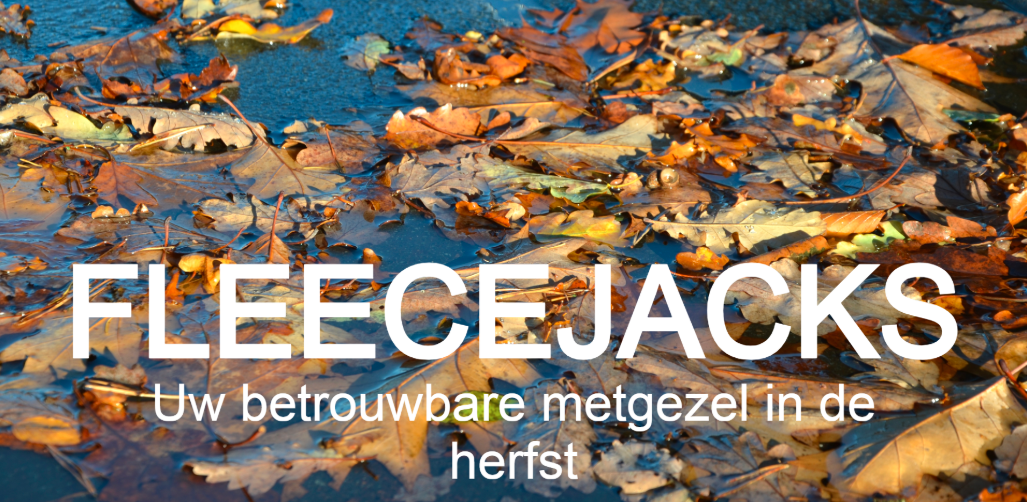 Herfstcoverafbeelding met natte, kleurrijke bladeren op straat. Witte letters: Fleecejacks - uw betrouwbare metgezel in de herfst.