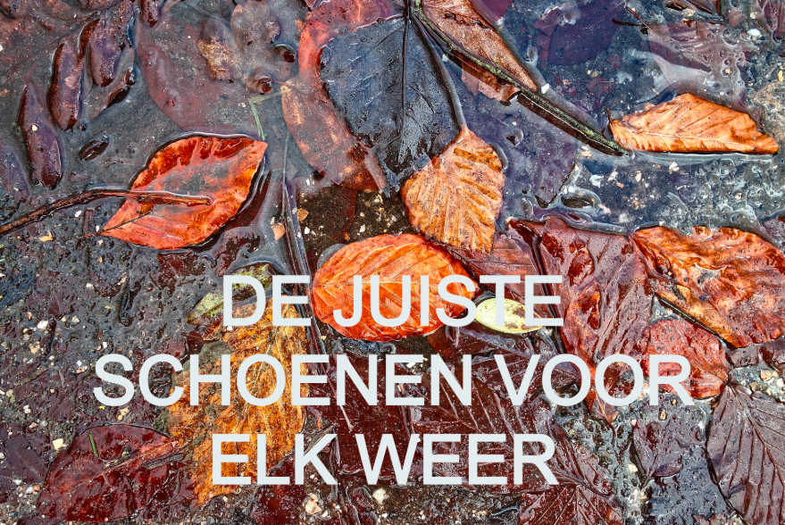 Bonte herfstbladeren op een natte ondergrond met daarboven in witte letters de slogan: 'De juiste schoenen voor elk weer'. De afbeelding linkt naar onze Aqua-werkschoenen.