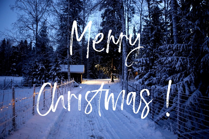 Omheind pad aan de rand van het bos verlicht met kerstverlichting. Links op de achtergrond staat een kleine houten hut omgeven door met sneeuw bedekte bomen. Het tafereel werd gefotografeerd in het blauwe avondlicht. Op de afbeelding staat een witte, handgeschreven inscriptie met de woorden “Merry Christmas!”